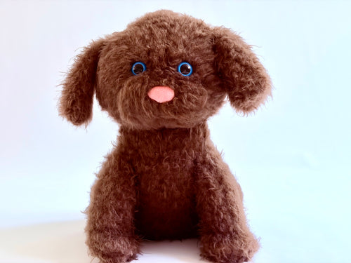 Meet Pookie